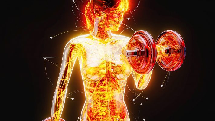 METABOLISM LENT
