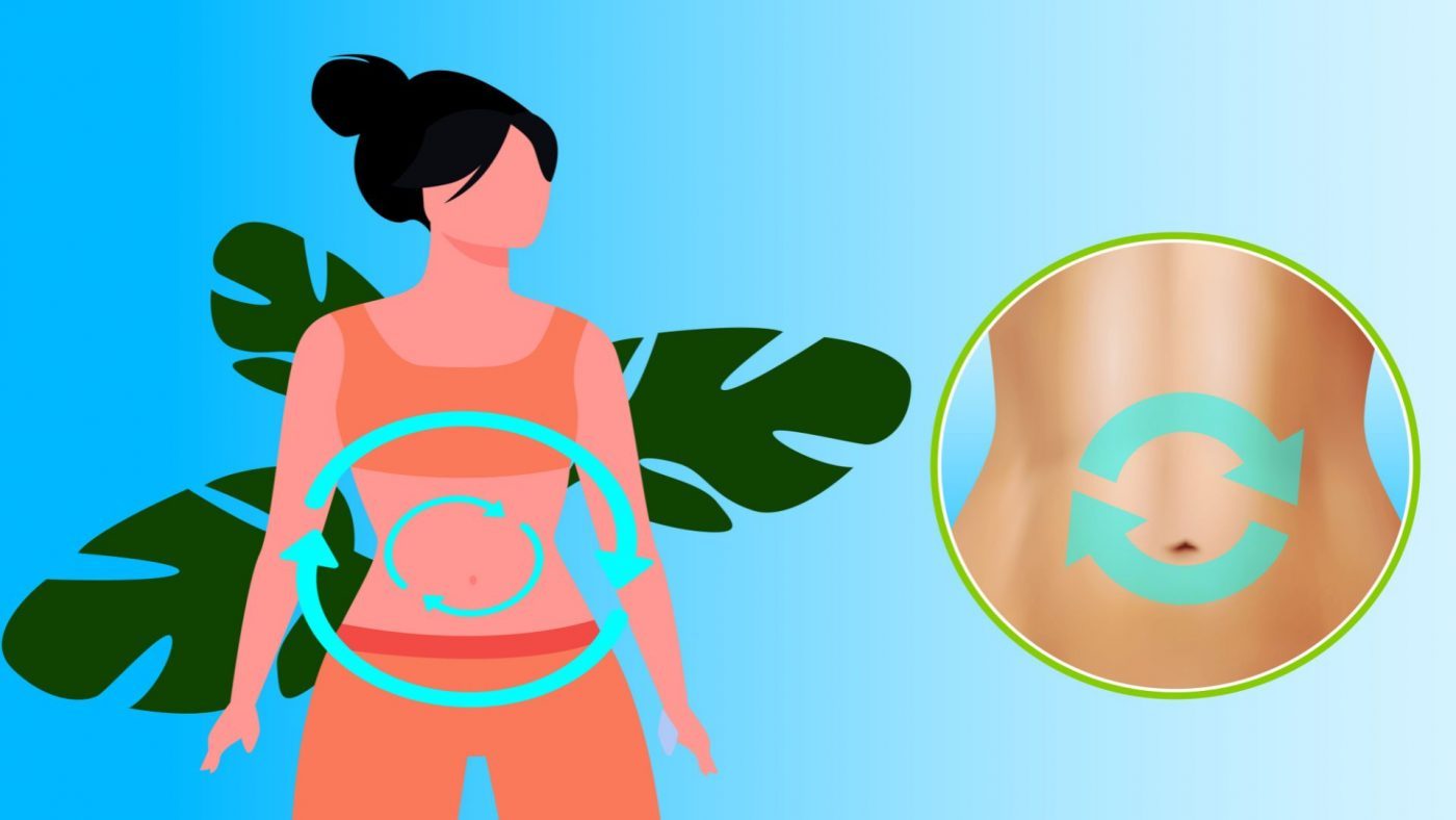 Illustration d'une digestion saine avec un intestin en bonne santé et des aliments favorisant le confort digestif